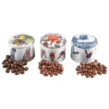 200g Chocolate Fruit & Nut Tins